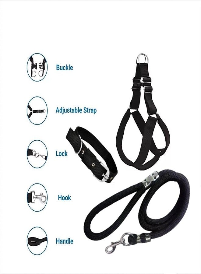 Smart Pups Dog Combo Pack of Harness, Neck Collar Belt and Rope Set (Black, Medium, Waterproof, Rope Size 1.5M-2M) - Image 2